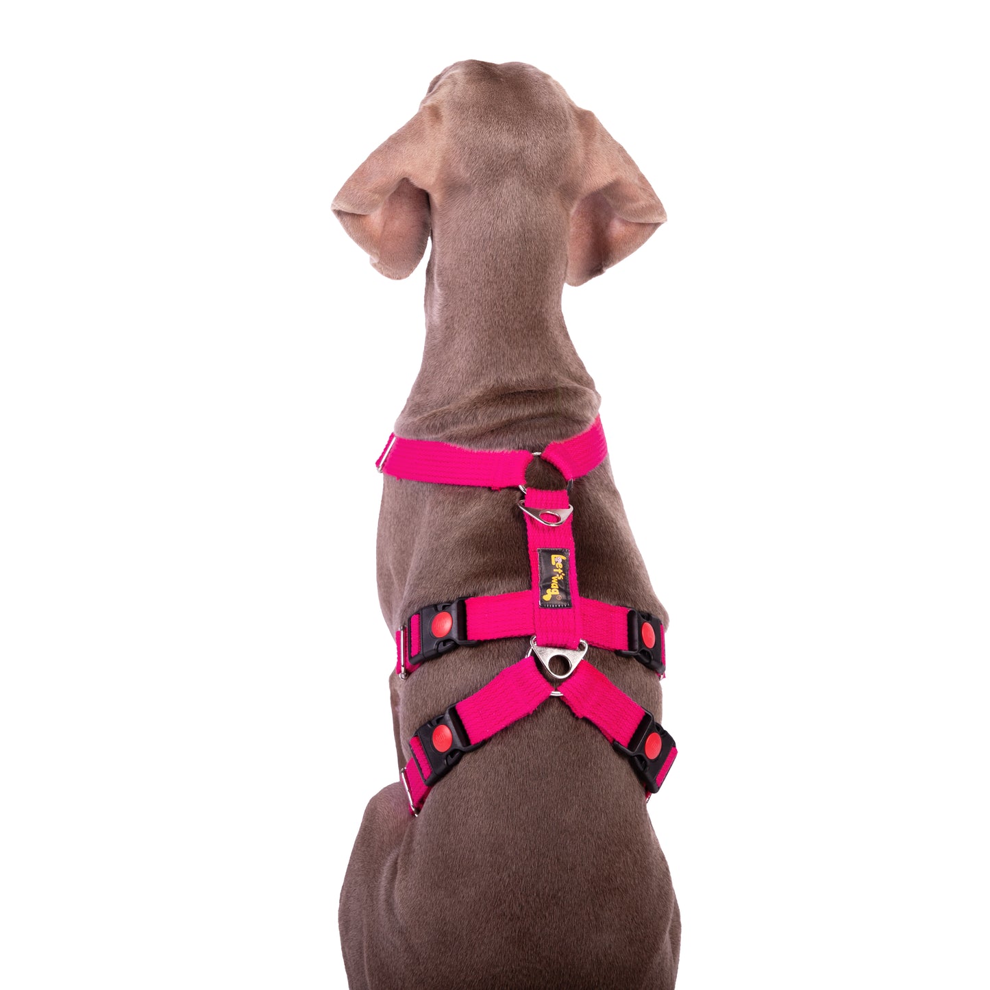 Double H Harness Pink