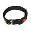 Let's Wag Adjustable Buckle Dog Collar for Dogs