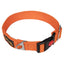 Let's Wag Adjustable Buckle Dog Collar for Dogs