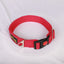 Let's Wag Adjustable Buckle Dog Collar for Dogs