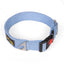 Let's Wag Adjustable Buckle Dog Collar for Dogs