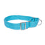Double Handle Leash + Martingale Fabric Collar