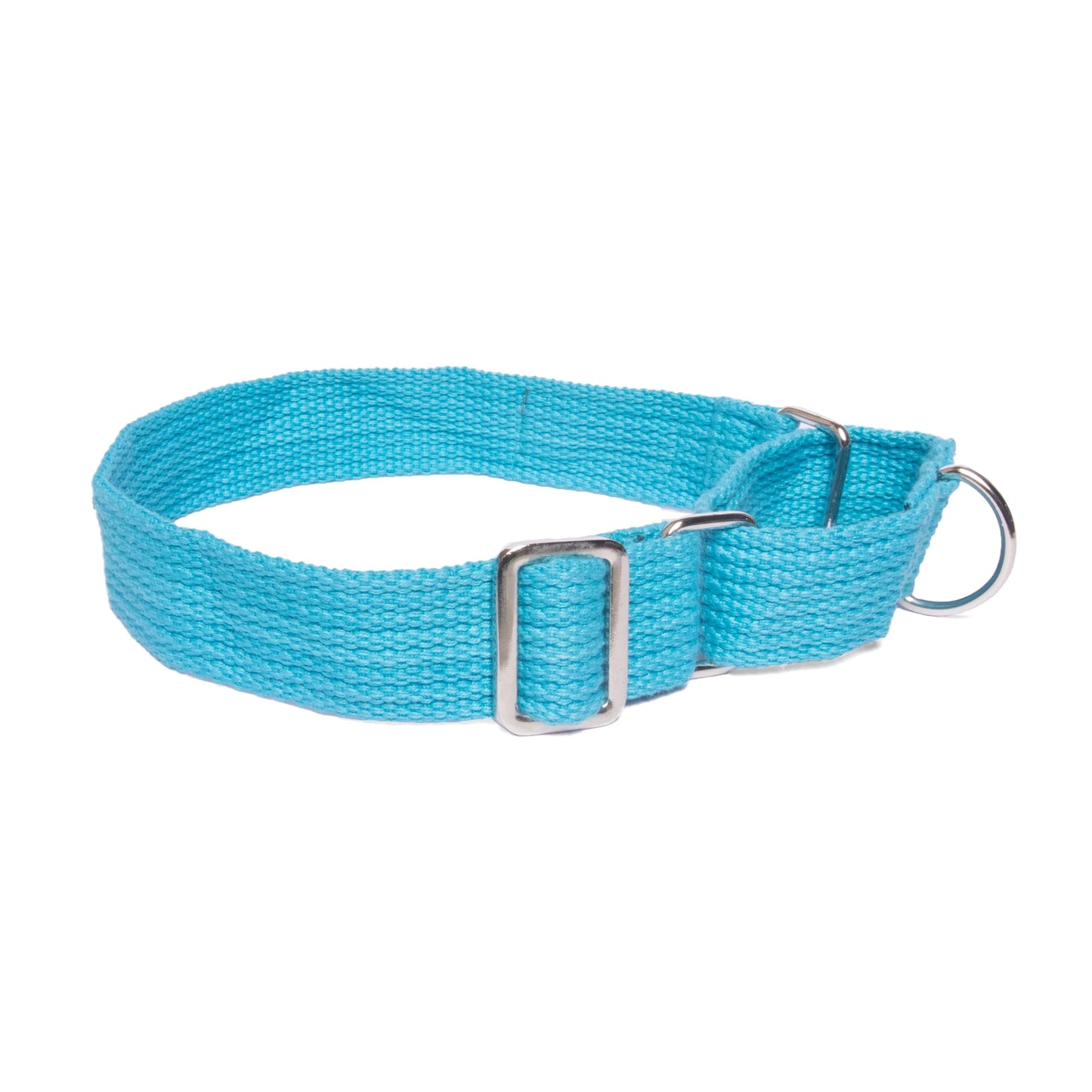 Double Handle Leash + Martingale Fabric Collar
