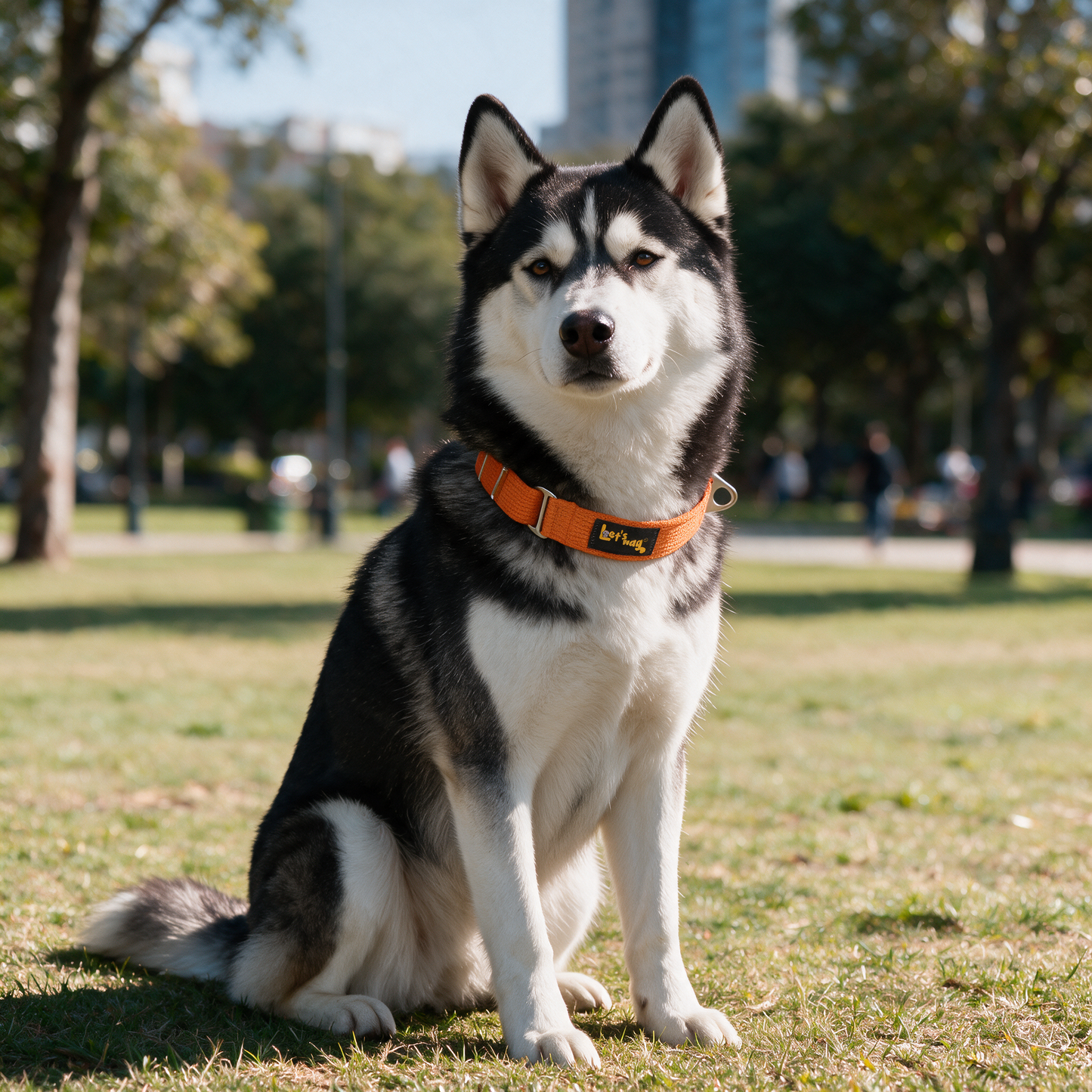 Escape Proof Martingale Collar