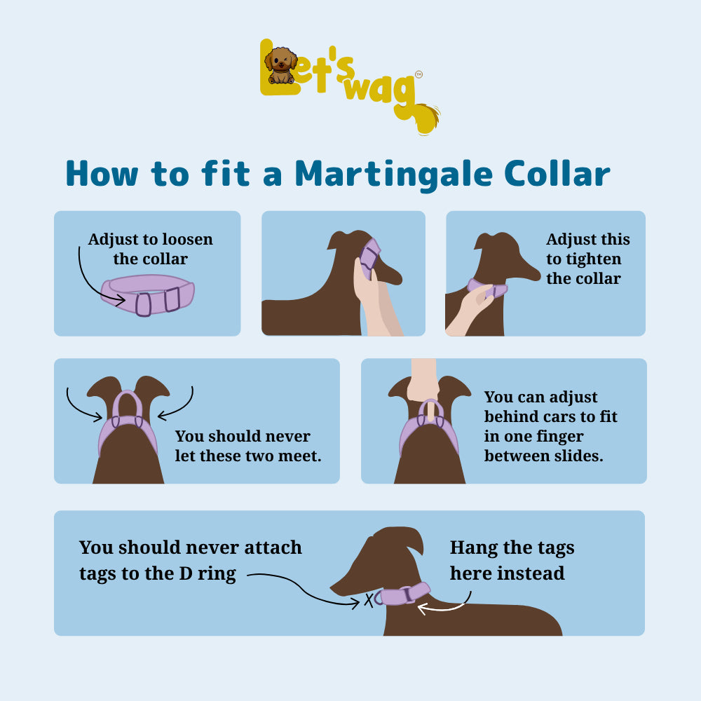 Martingale Fabric Collar - Black