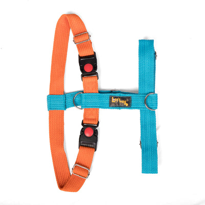 Dual-Clip Design for Training & Safety – Orange Blue