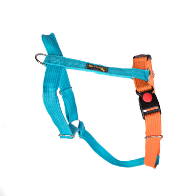 Dual-Clip Design for Training & Safety – Orange Blue