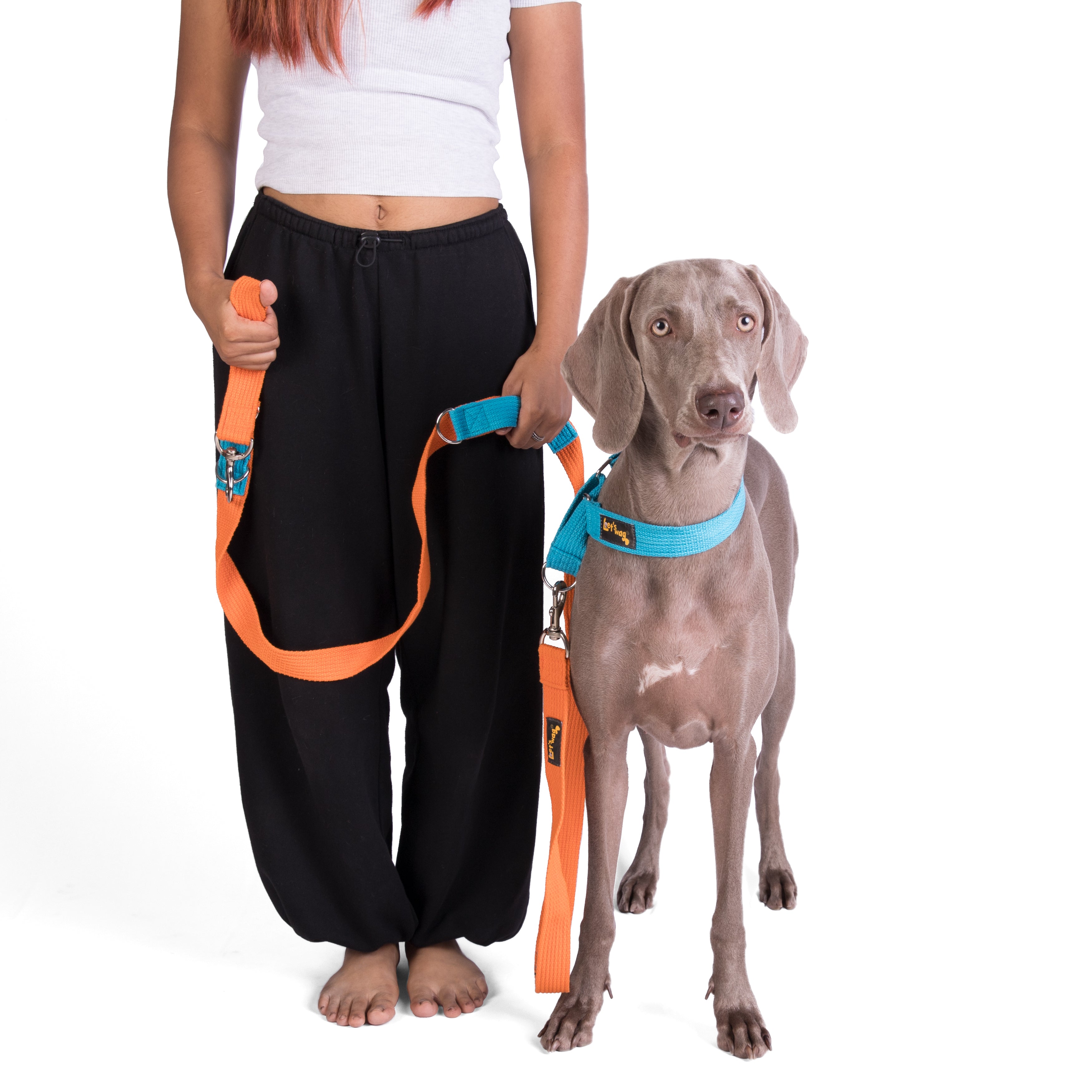 Multipurpose Adventure Leash