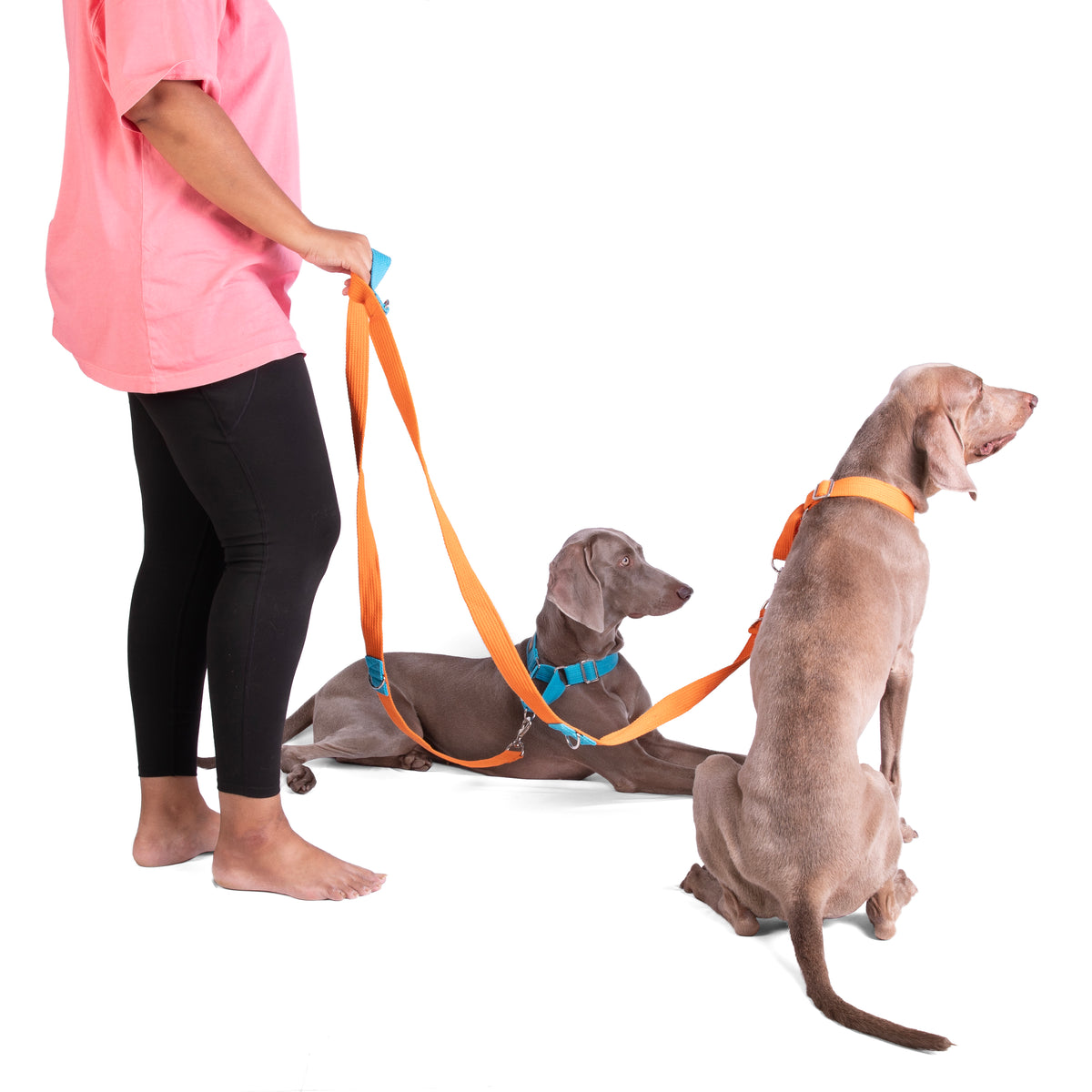 Multipurpose Adventure Leash