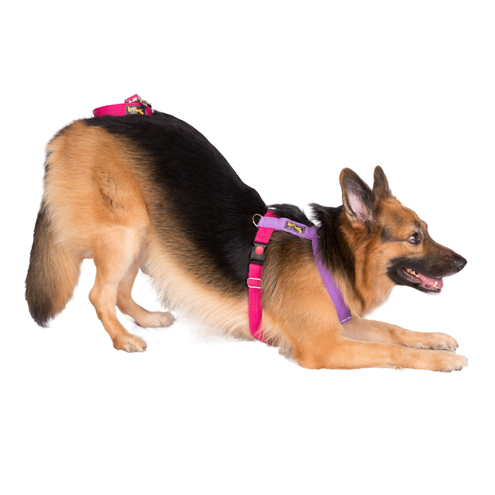 Dual-Clip Design for Training & Safety – Pink Purple