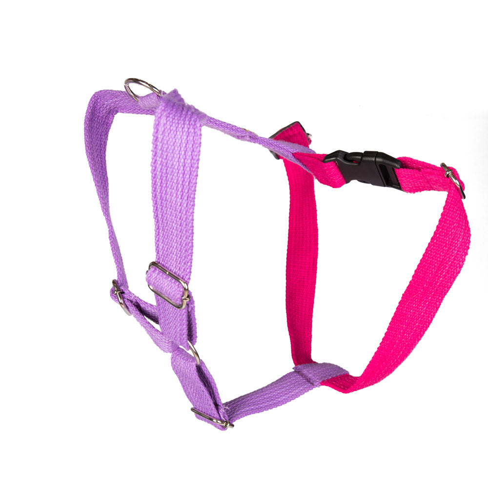 Dual-Clip Design for Training & Safety – Pink Purple