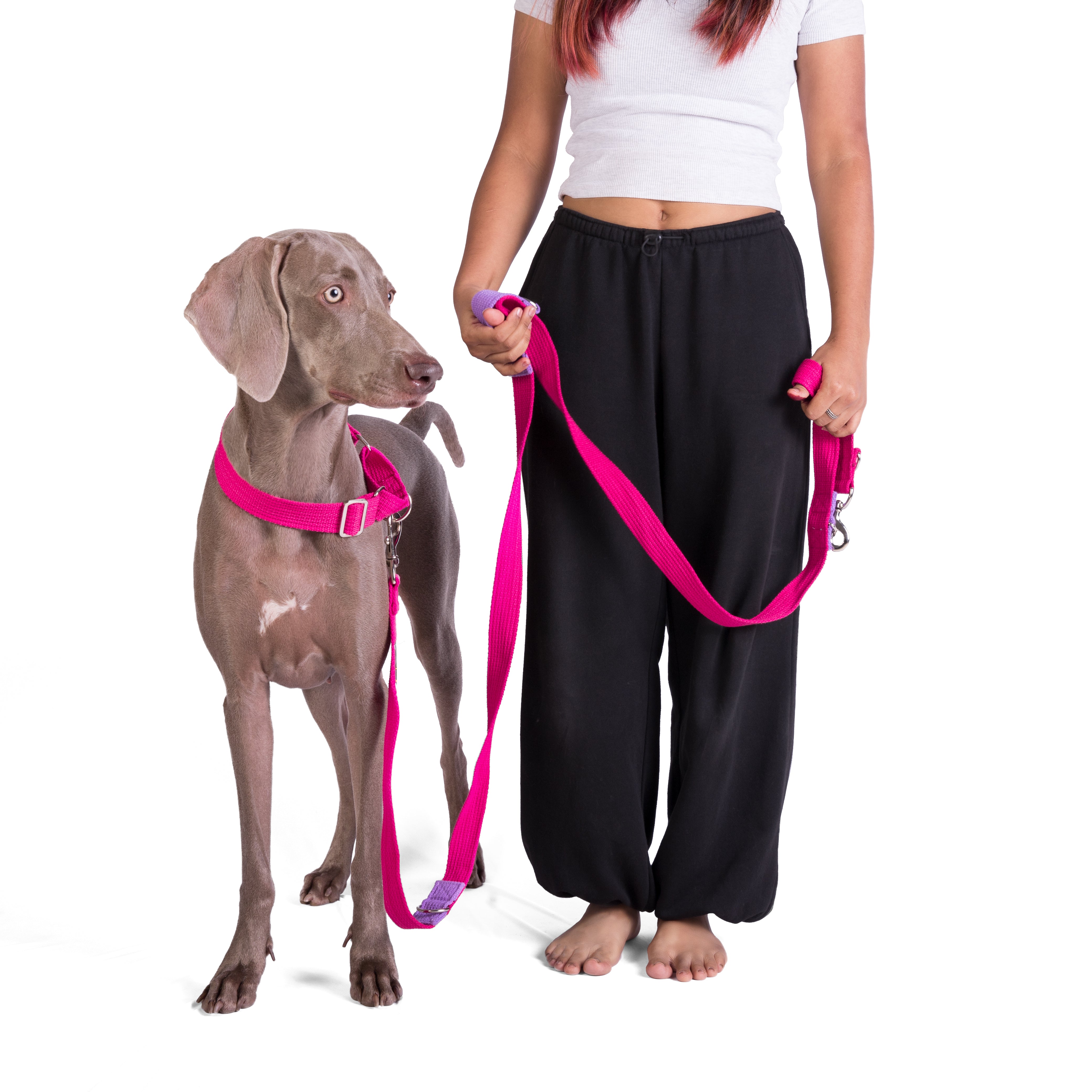 Multipurpose Adventure Leash