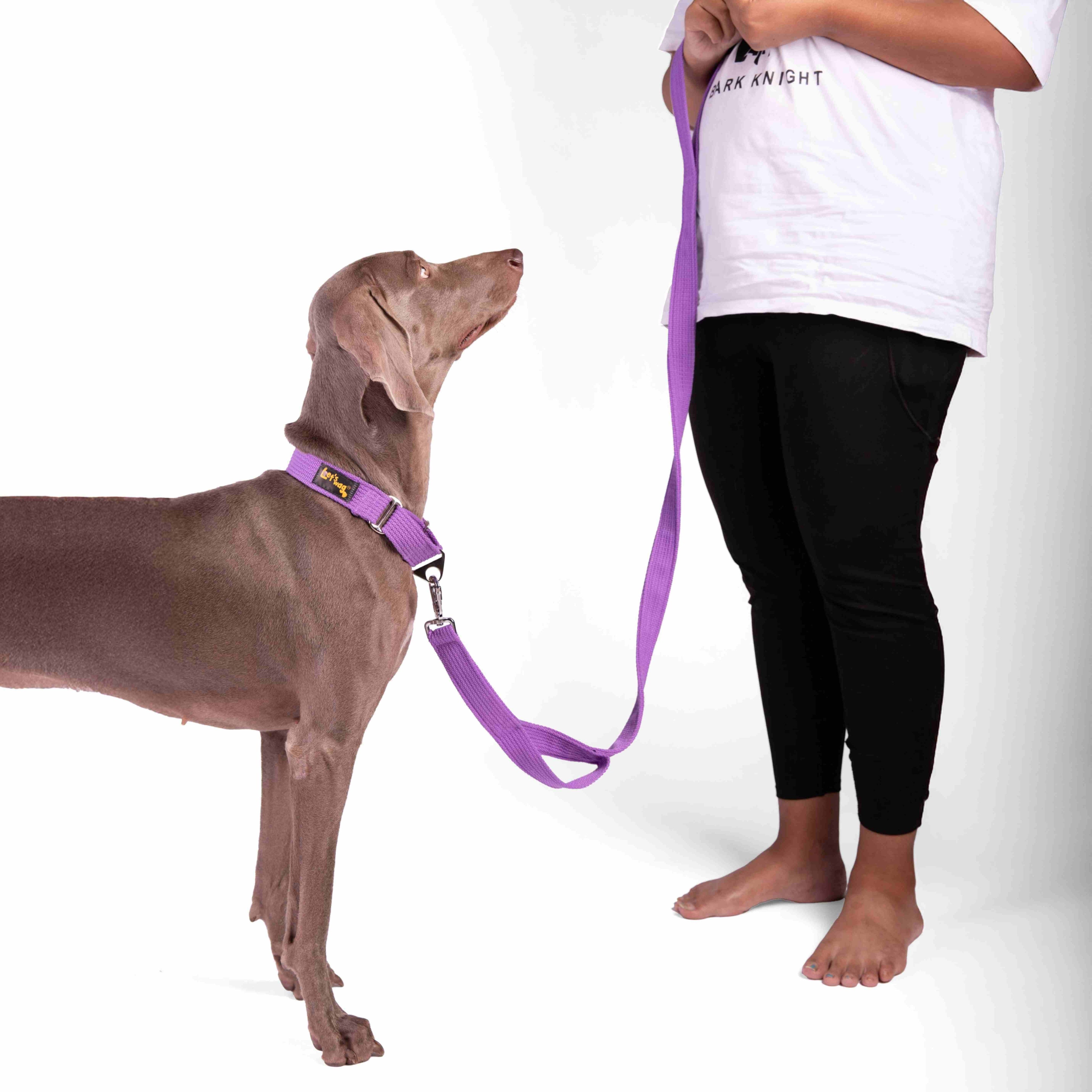 Double Handle Leash