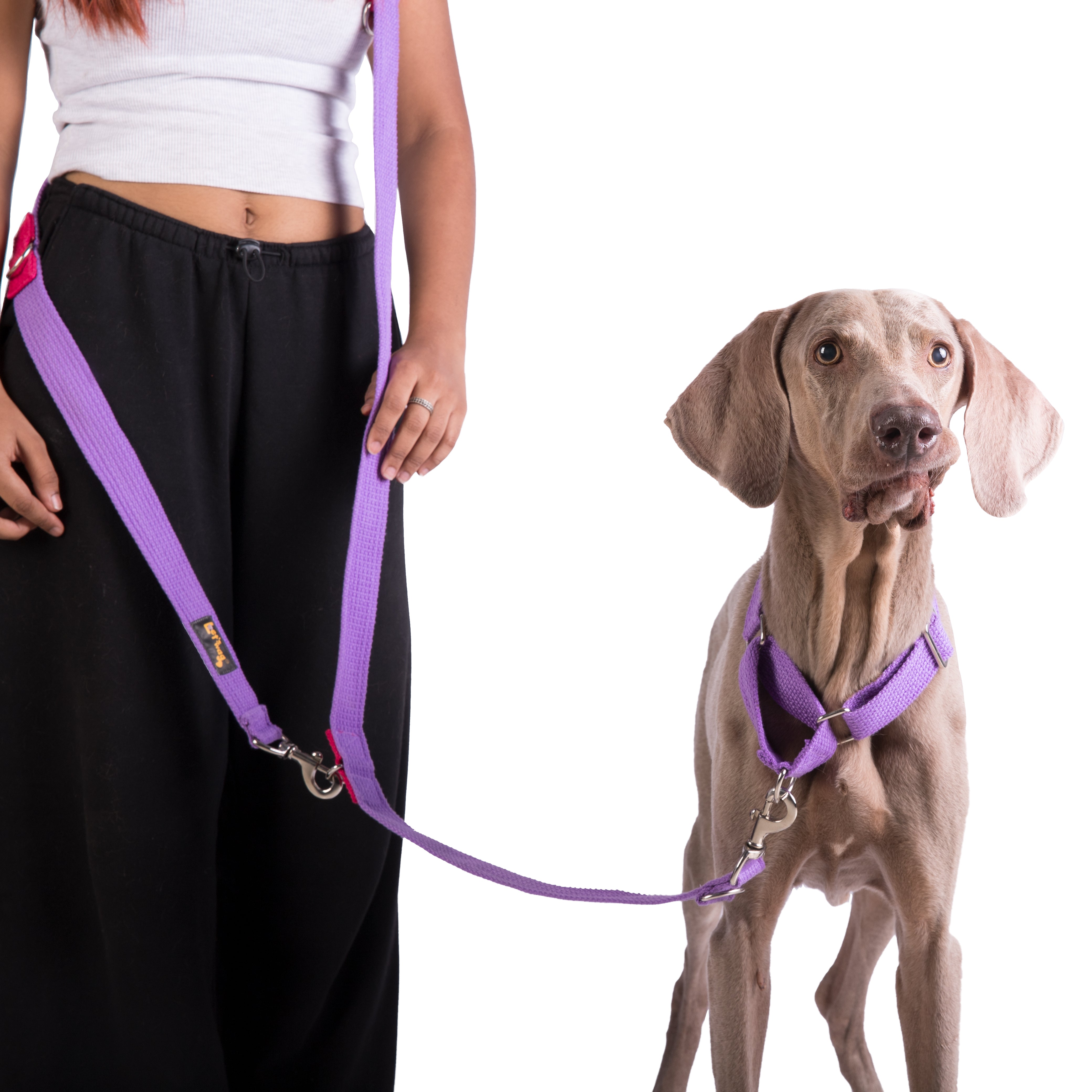 Multipurpose Adventure Leash
