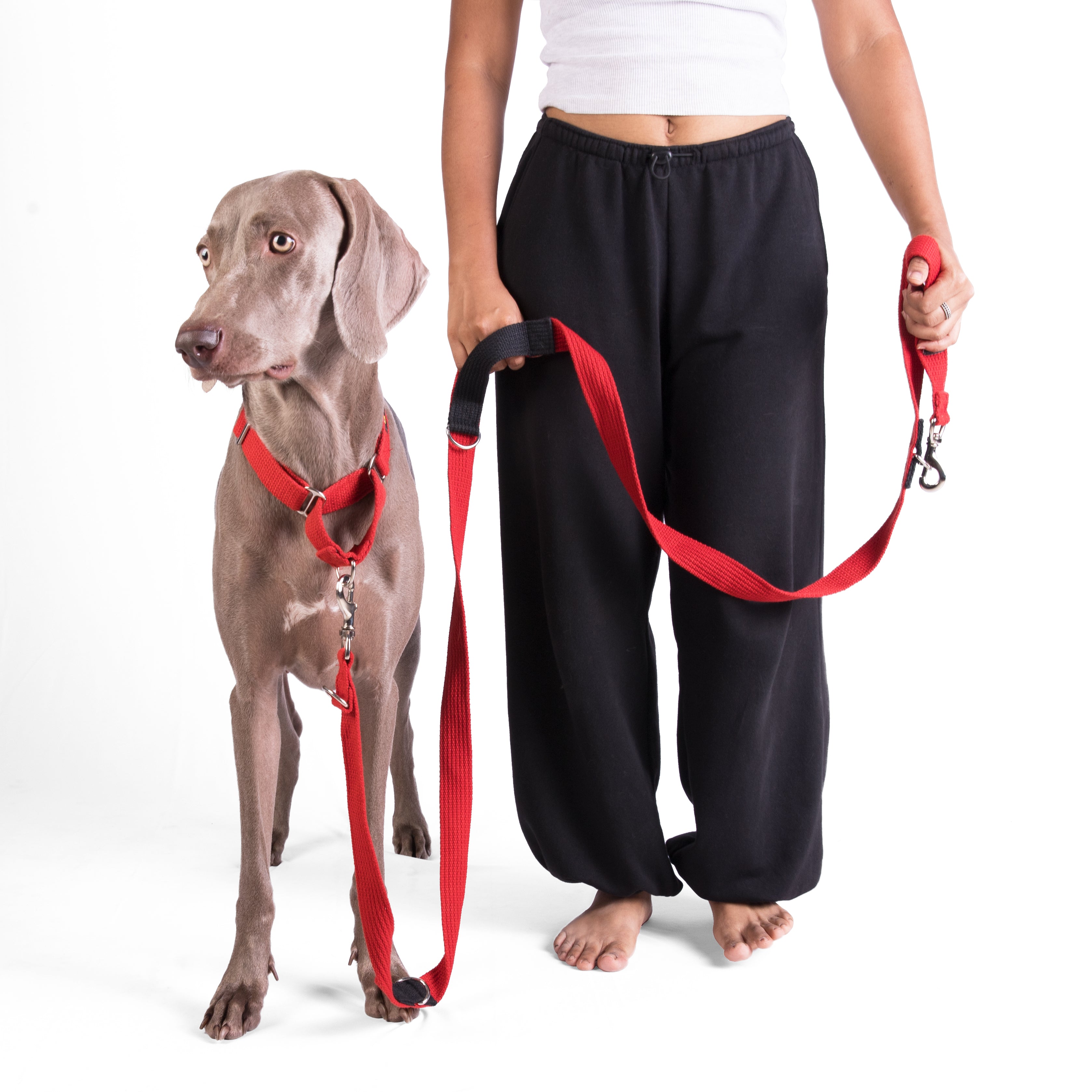 Multipurpose Adventure Leash