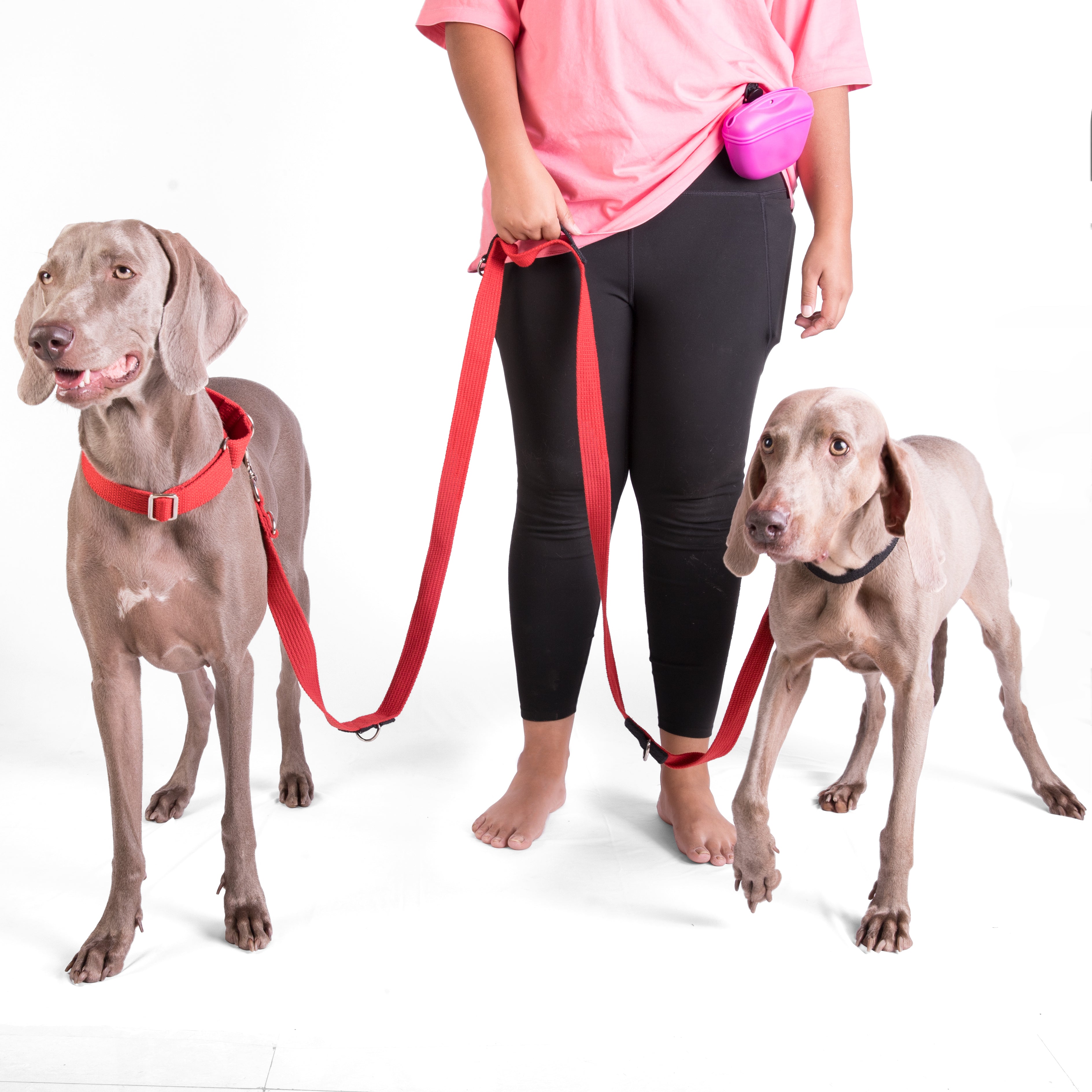 Multipurpose Adventure Leash