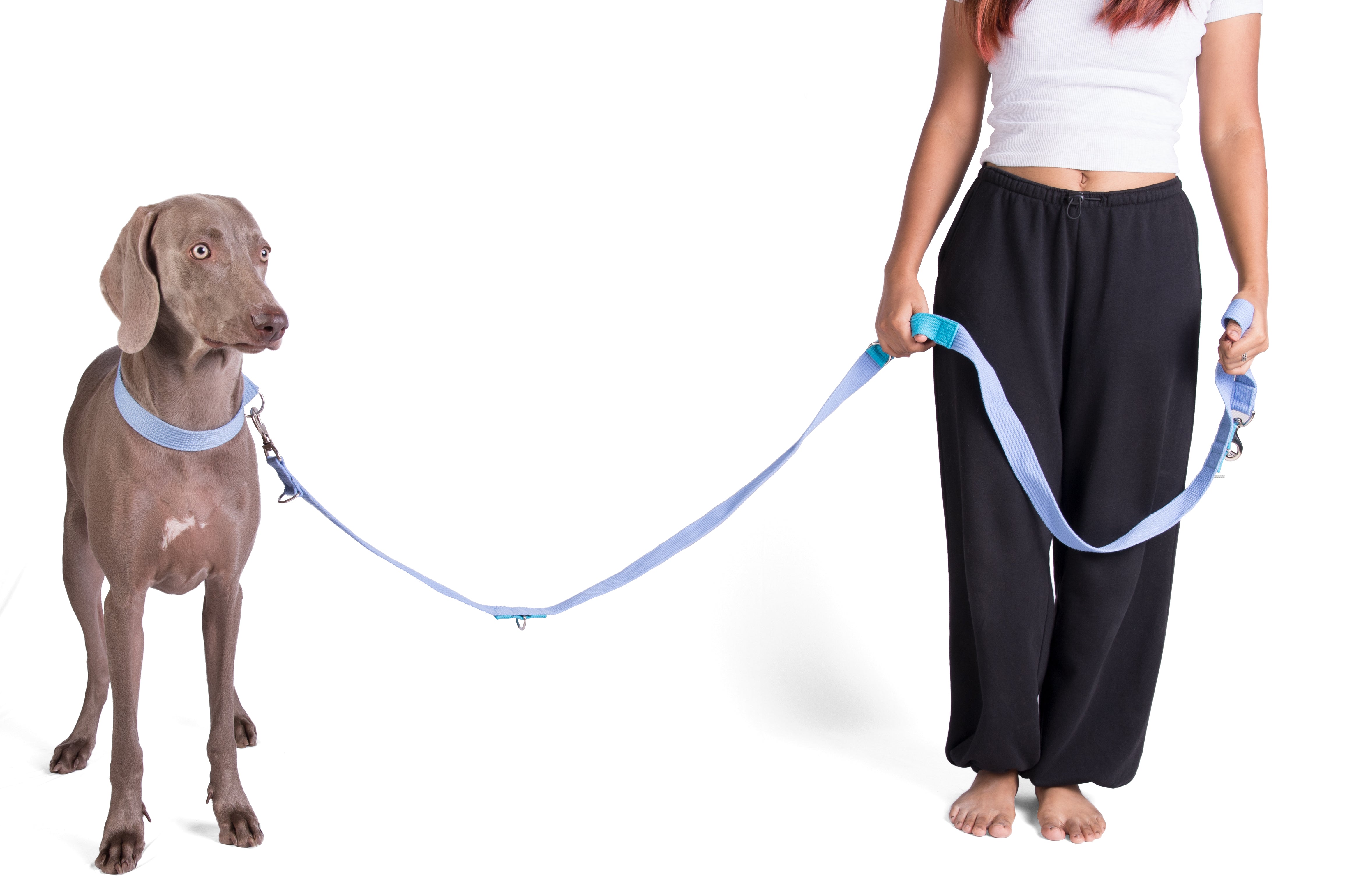 Multipurpose Adventure Leash