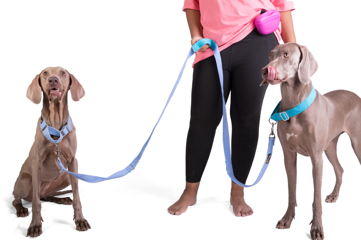 Multipurpose Adventure Leash