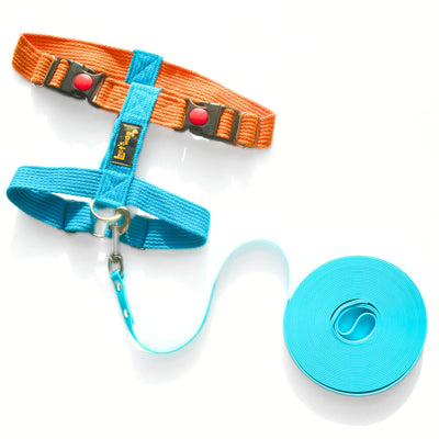 Combo H - Harness and long line Aqua Blue