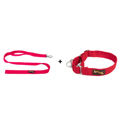Double Handle Leash + Martingale Fabric Collar