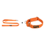 Double Handle Leash + Martingale Fabric Collar