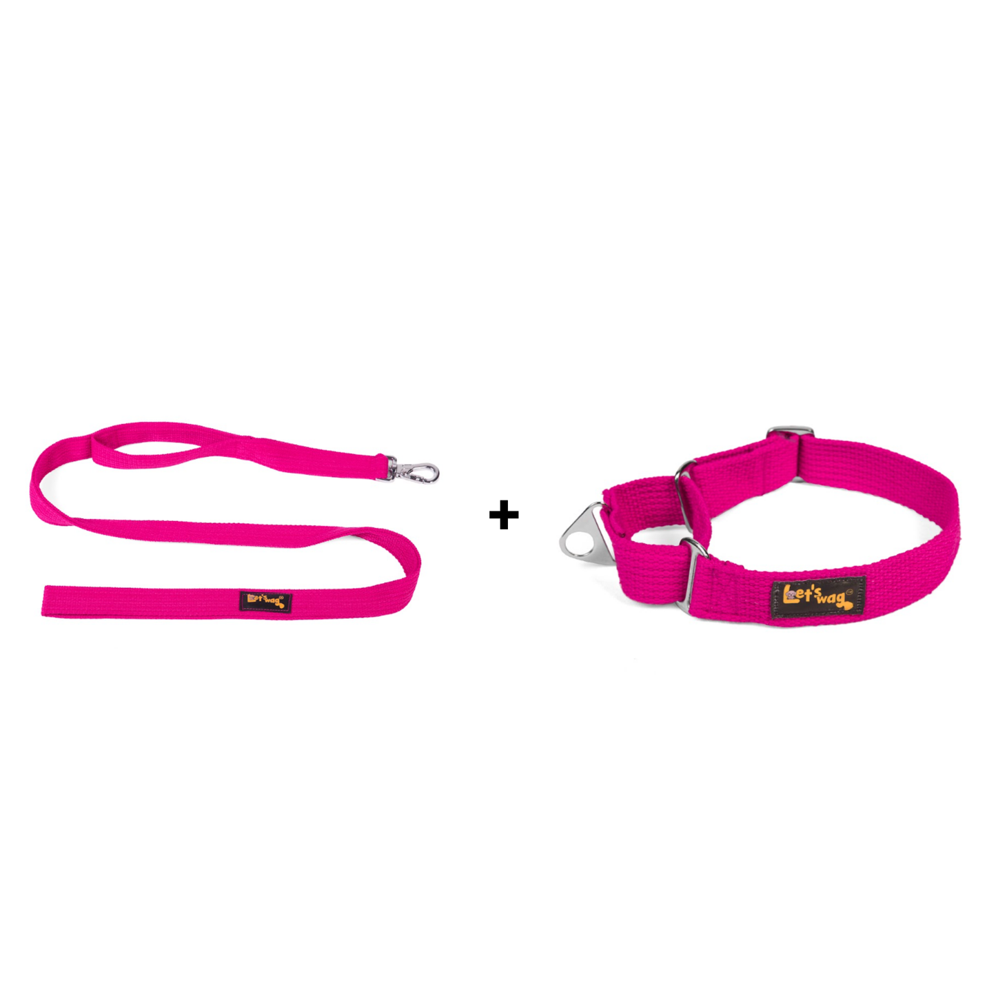 Double Handle Leash + Martingale Fabric Collar