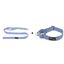 Double Handle Leash + Martingale Fabric Collar