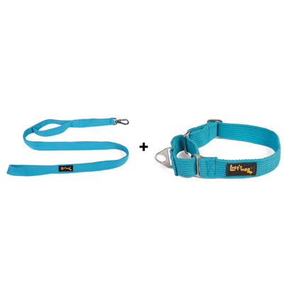 Double Handle Leash + Martingale Fabric Collar