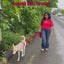 Multi Purpose Leash - Sky Blue