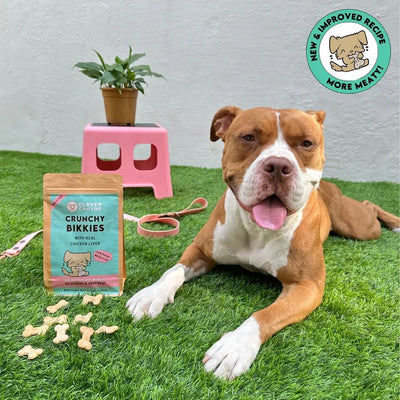 Clever Canine Crunchy Bikkies Wheat Free Handcrafted Small Batch Dog Biscuits - 200g