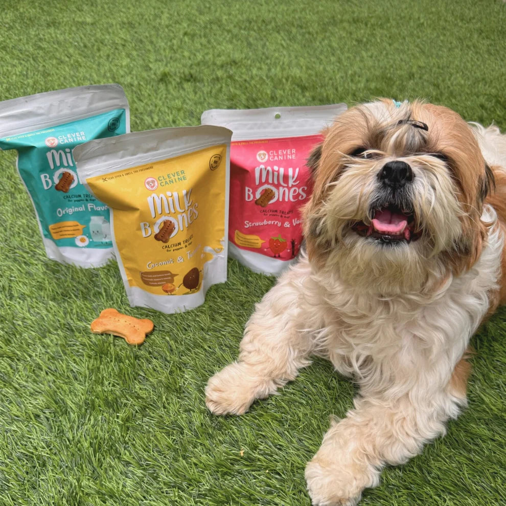 Clever Canine Milk Bone Cookies for Dogs Assorted Flavours - Pack of 3