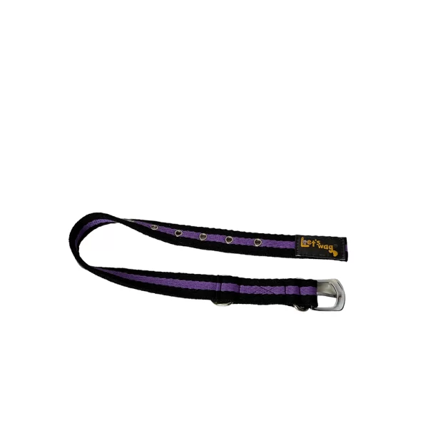 Premium Fabric Collar Buckle Black & Purple