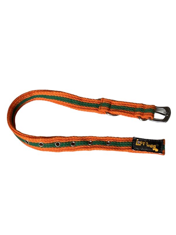 Premium Fabric Collar Buckle Orange & Green 01