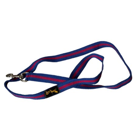 Premium Fabric Leash Blue & Pink 01