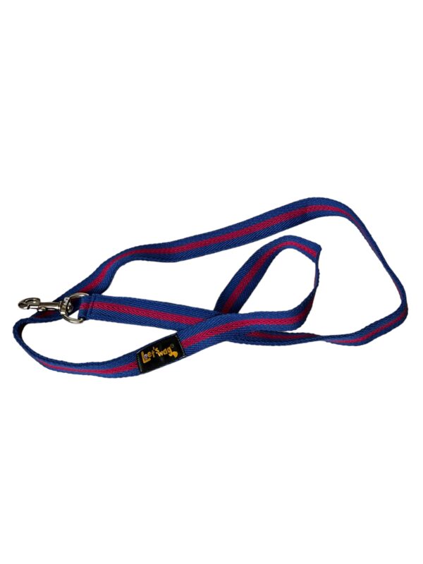 Premium Fabric Leash Blue & Pink 01