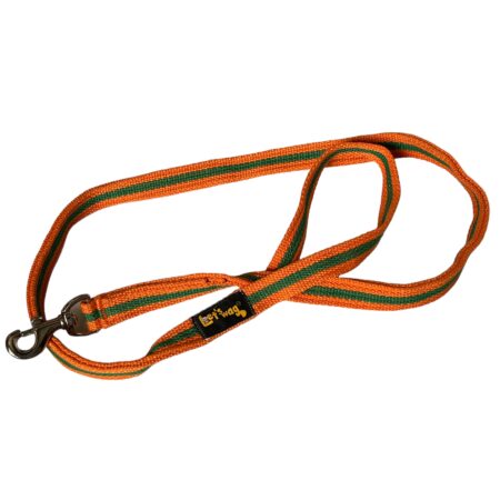 Premium Fabric Leash Orange & Green 01