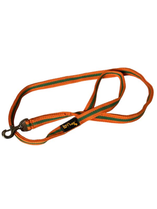 Premium Fabric Leash Orange & Green 01