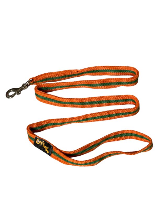 Premium Fabric Leash Orange & Green